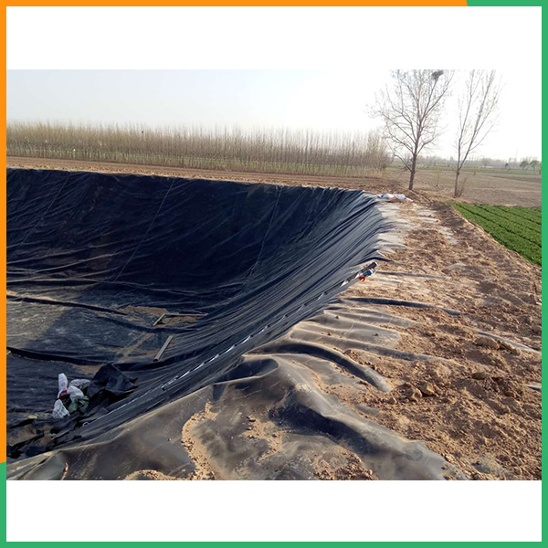 防渗膜订制-泰安PA直营环保材料-藕池防渗膜订制