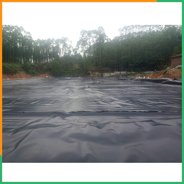 泰安PA直营环保材料-车间地面防渗耐老化防渗膜尺寸可定制