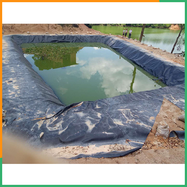 包头防渗膜欢迎来电咨询-泰安PA直营环保公司