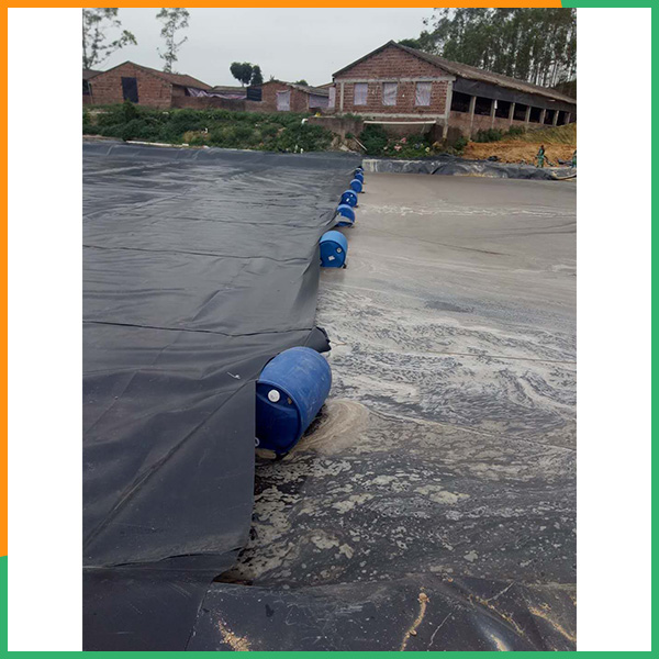 泰安PA直营环保-泥鳅池耐老化防渗膜厚度可定制