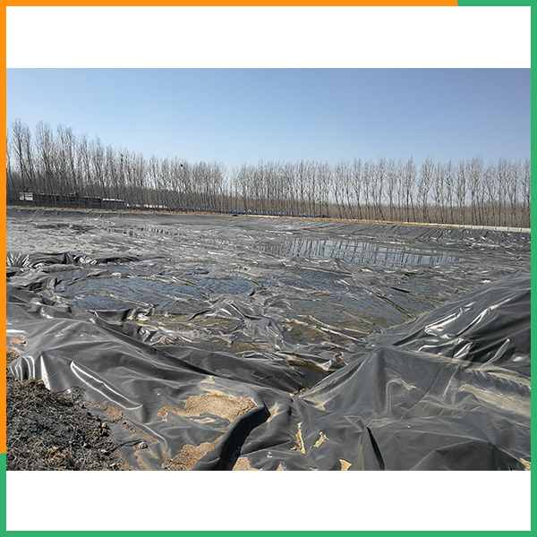 0.5mm防渗膜欢迎来电咨询-泰安PA直营环保